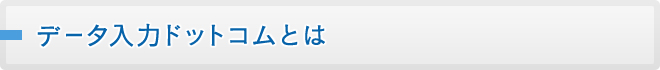 データ入力ドットコムとは